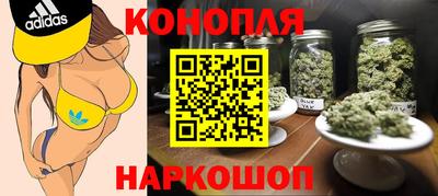 прущие грибы Гудермес