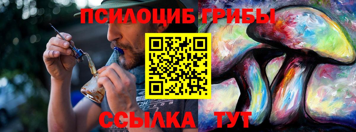 Новоалтайск  хочу   Вход с VPN  Псилоцибиновые грибы ЛСД 